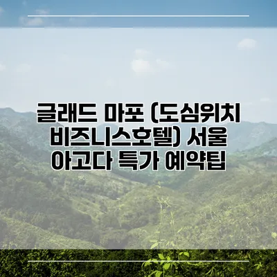 글래드 마포 (도심위치 비즈니스호텔) 서울 아고다 특가 예약팁