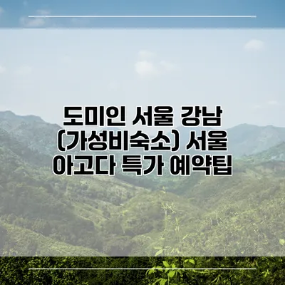 도미인 서울 강남 (가성비숙소) 서울 아고다 특가 예약팁