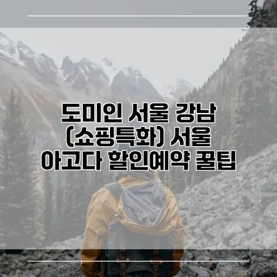 도미인 서울 강남 (쇼핑특화) 서울 아고다 할인예약 꿀팁