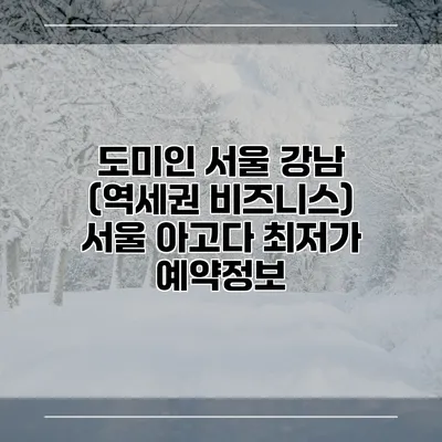 도미인 서울 강남 (역세권 비즈니스) 서울 아고다 최저가 예약정보