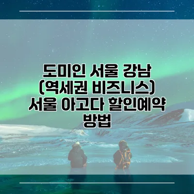 도미인 서울 강남 (역세권 비즈니스) 서울 아고다 할인예약 방법