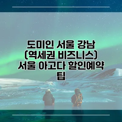 도미인 서울 강남 (역세권 비즈니스) 서울 아고다 할인예약 팁