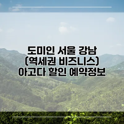 도미인 서울 강남 (역세권 비즈니스) 아고다 할인 예약정보