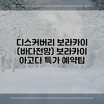 디스커버리 보라카이 (바다전망) 보라카이 아고다 특가 예약팁