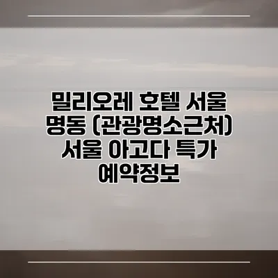 밀리오레 호텔 서울 명동 (관광명소근처) 서울 아고다 특가 예약정보
