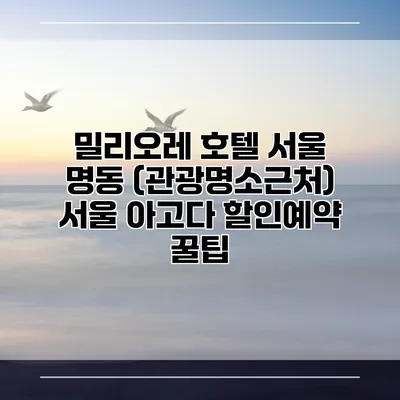 밀리오레 호텔 서울 명동 (관광명소근처) 서울 아고다 할인예약 꿀팁