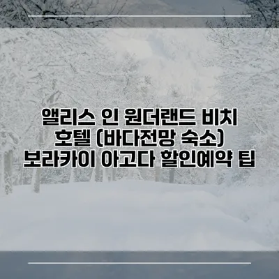 앨리스 인 원더랜드 비치 호텔 (바다전망 숙소) 보라카이 아고다 할인예약 팁
