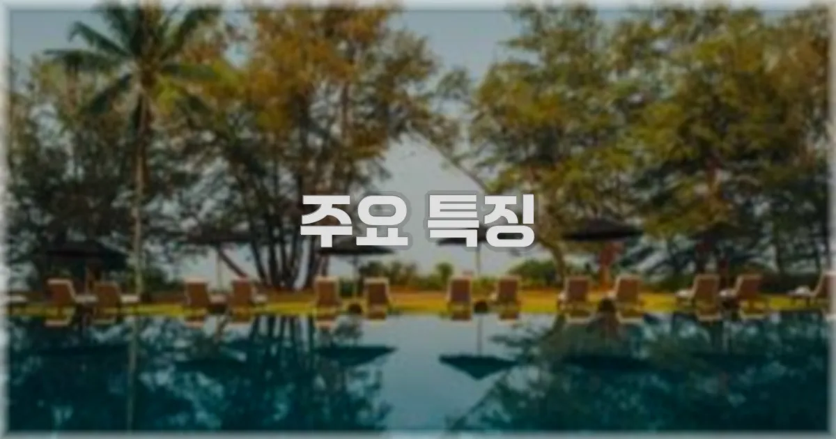 ✨ 주요 특징