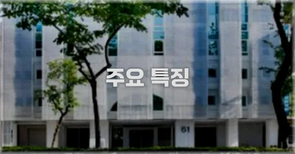 ✨ 주요 특징