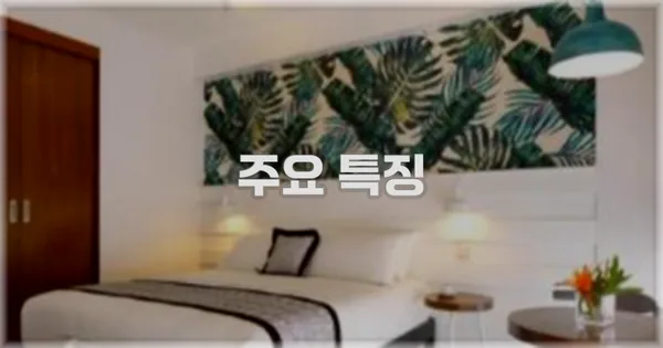 ✨ 주요 특징
