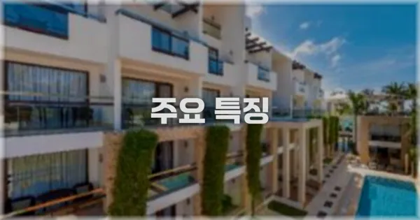 ✨ 주요 특징