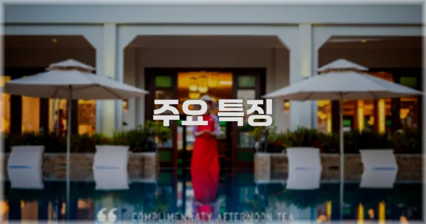 ✨ 주요 특징