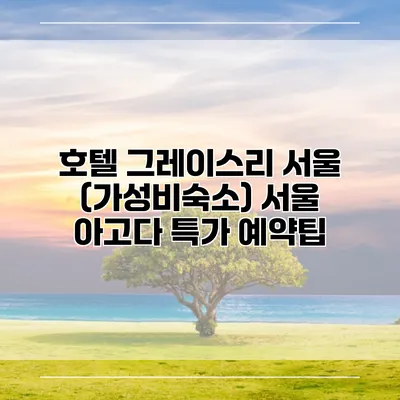 호텔 그레이스리 서울 (가성비숙소) 서울 아고다 특가 예약팁