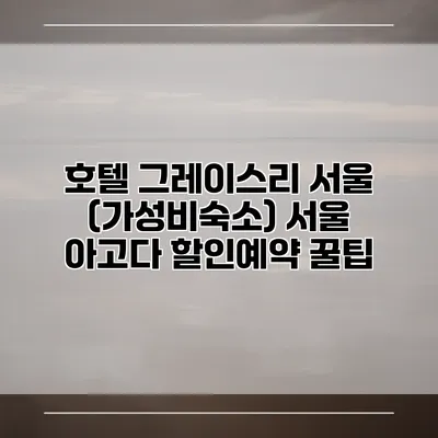 호텔 그레이스리 서울 (가성비숙소) 서울 아고다 할인예약 꿀팁