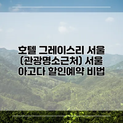 호텔 그레이스리 서울 (관광명소근처) 서울 아고다 할인예약 비법