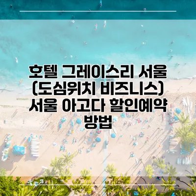 호텔 그레이스리 서울 (도심위치 비즈니스) 서울 아고다 할인예약 방법