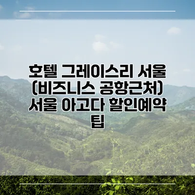 호텔 그레이스리 서울 (비즈니스 공항근처) 서울 아고다 할인예약 팁