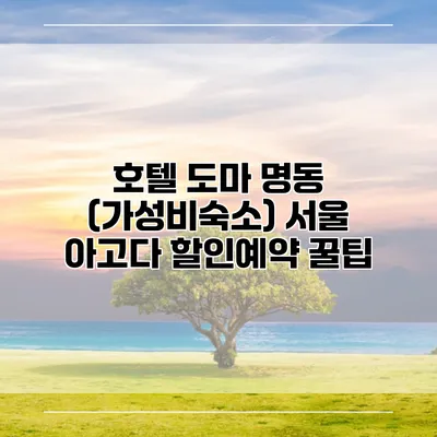 호텔 도마 명동 (가성비숙소) 서울 아고다 할인예약 꿀팁