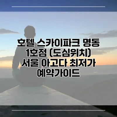 호텔 스카이파크 명동 1호점 (도심위치) 서울 아고다 최저가 예약가이드