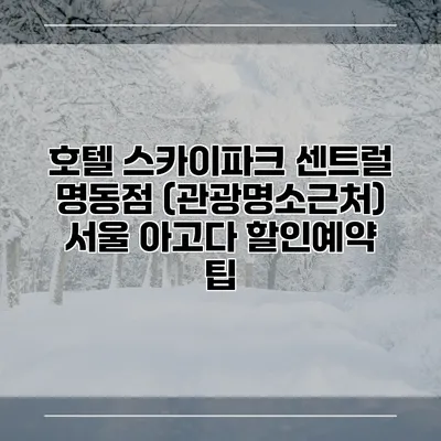 호텔 스카이파크 센트럴 명동점 (관광명소근처) 서울 아고다 할인예약 팁