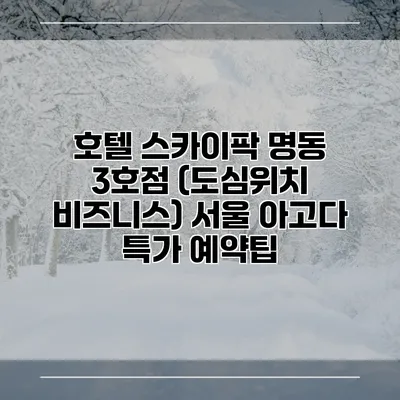 호텔 스카이팍 명동 3호점 (도심위치 비즈니스) 서울 아고다 특가 예약팁