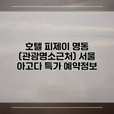 호텔 피제이 명동 (관광명소근처) 서울 아고다 특가 예약정보